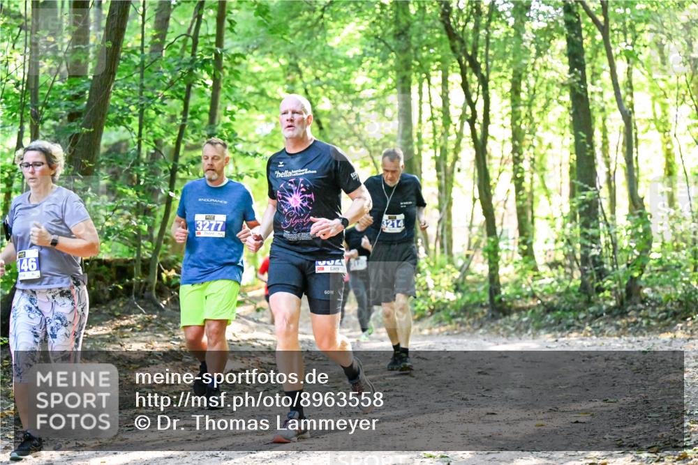28.09.2025 - 33. Volkslauf durch das schöne Alstertal Dr. Thomas Lammeyer http://msf.ph/oto/8963558 28.09.2025 11:16:08 Laufen 146, 3277, 1, 2, 3214 meine-sportfotos.de