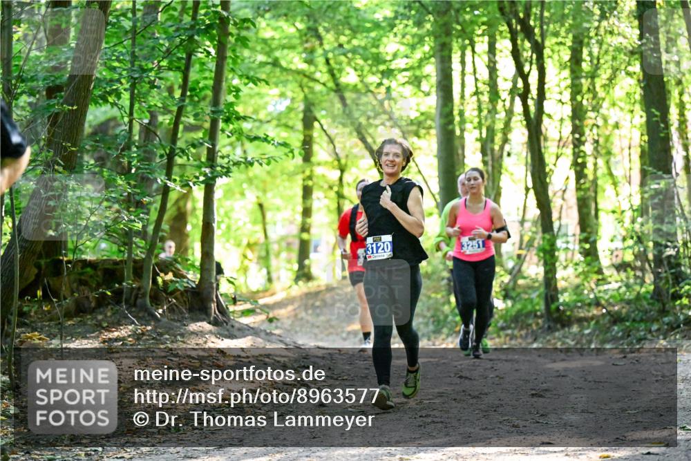 28.09.2025 - 33. Volkslauf durch das schöne Alstertal Dr. Thomas Lammeyer http://msf.ph/oto/8963577 28.09.2025 11:16:11 Laufen 3120, 3251 meine-sportfotos.de