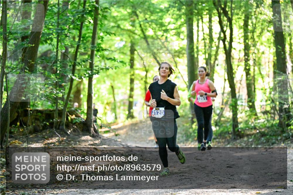 28.09.2025 - 33. Volkslauf durch das schöne Alstertal Dr. Thomas Lammeyer http://msf.ph/oto/8963579 28.09.2025 11:16:11 Laufen 3120 meine-sportfotos.de