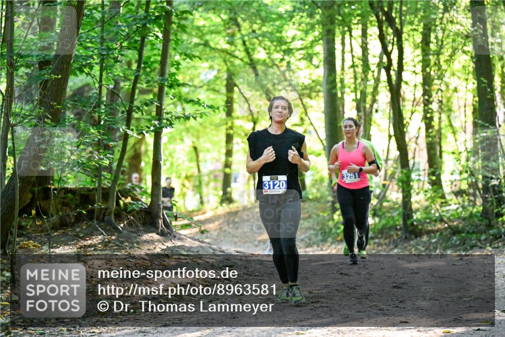 28.09.2025 - 33. Volkslauf durch das schöne Alstertal Dr. Thomas Lammeyer http://msf.ph/oto/8963581 28.09.2025 11:16:11 Laufen 3120, 3251 meine-sportfotos.de