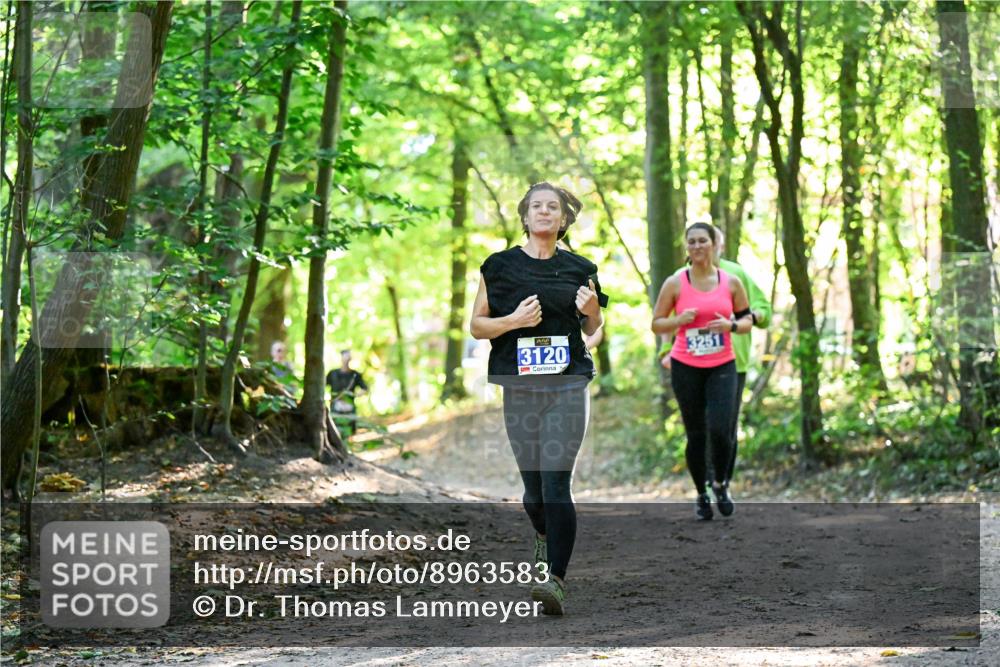 28.09.2025 - 33. Volkslauf durch das schöne Alstertal Dr. Thomas Lammeyer http://msf.ph/oto/8963583 28.09.2025 11:16:11 Laufen 3120, 3251 meine-sportfotos.de