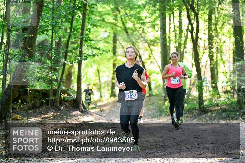28.09.2025 - 33. Volkslauf durch das schöne Alstertal Dr. Thomas Lammeyer http://msf.ph/oto/8963585 28.09.2025 11:16:11 Laufen 3120, 3251 meine-sportfotos.de