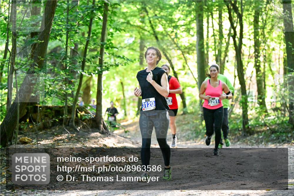 28.09.2025 - 33. Volkslauf durch das schöne Alstertal Dr. Thomas Lammeyer http://msf.ph/oto/8963586 28.09.2025 11:16:11 Laufen 3120, 3251 meine-sportfotos.de
