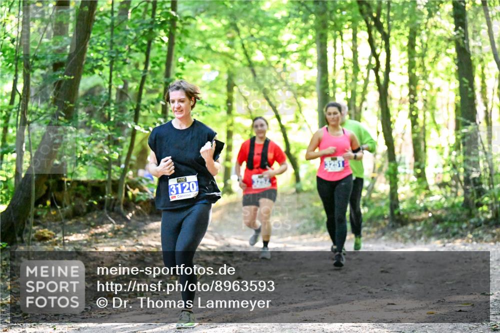 28.09.2025 - 33. Volkslauf durch das schöne Alstertal Dr. Thomas Lammeyer http://msf.ph/oto/8963593 28.09.2025 11:16:12 Laufen 3120, 3251 meine-sportfotos.de