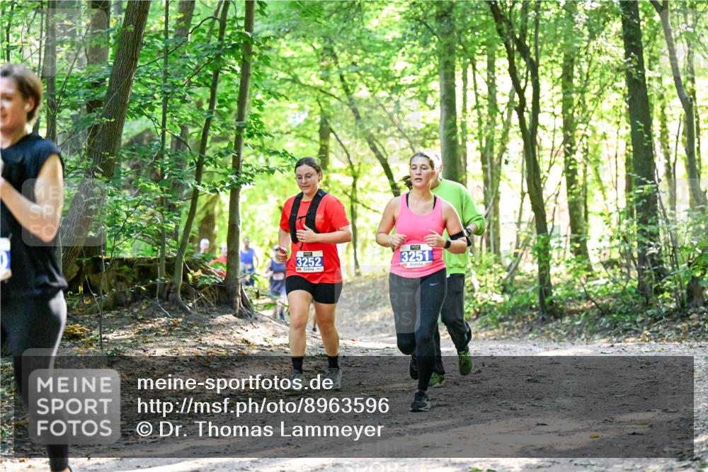 28.09.2025 - 33. Volkslauf durch das schöne Alstertal Dr. Thomas Lammeyer http://msf.ph/oto/8963596 28.09.2025 11:16:13 Laufen 3252, 3251 meine-sportfotos.de
