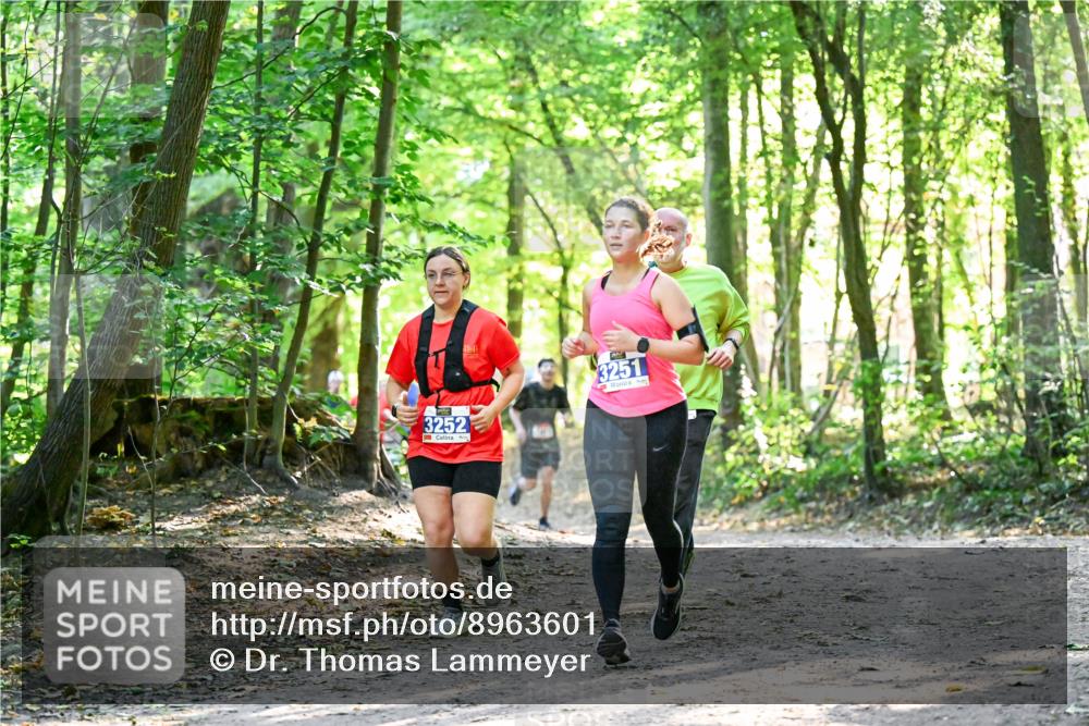 28.09.2025 - 33. Volkslauf durch das schöne Alstertal Dr. Thomas Lammeyer http://msf.ph/oto/8963601 28.09.2025 11:16:13 Laufen 3252, 3251 meine-sportfotos.de