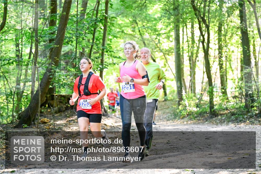 28.09.2025 - 33. Volkslauf durch das schöne Alstertal Dr. Thomas Lammeyer http://msf.ph/oto/8963607 28.09.2025 11:16:14 Laufen 3252, 3251 meine-sportfotos.de