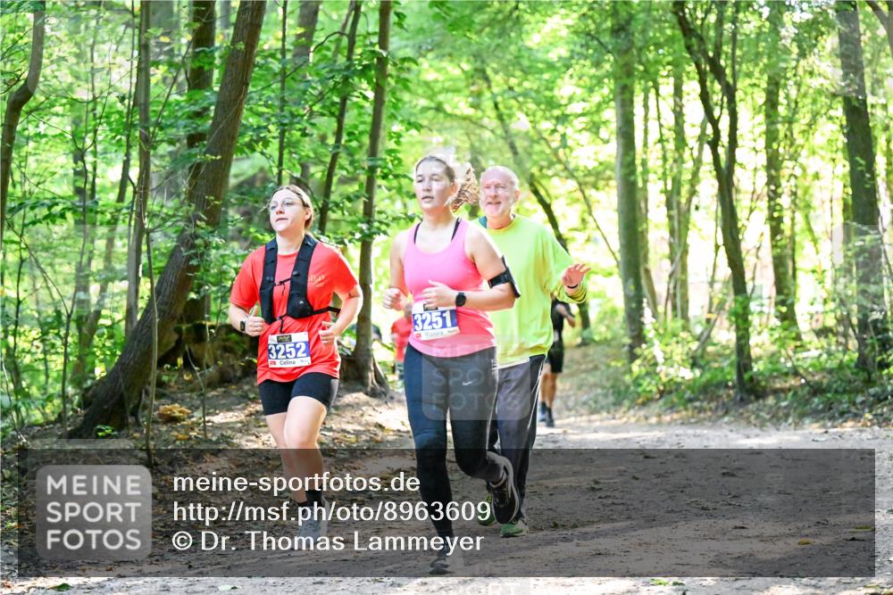 28.09.2025 - 33. Volkslauf durch das schöne Alstertal Dr. Thomas Lammeyer http://msf.ph/oto/8963609 28.09.2025 11:16:14 Laufen 3252, 3251 meine-sportfotos.de