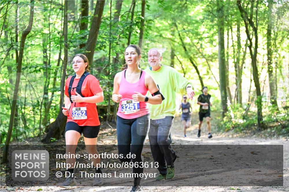28.09.2025 - 33. Volkslauf durch das schöne Alstertal Dr. Thomas Lammeyer http://msf.ph/oto/8963613 28.09.2025 11:16:14 Laufen 3252, 3251 meine-sportfotos.de