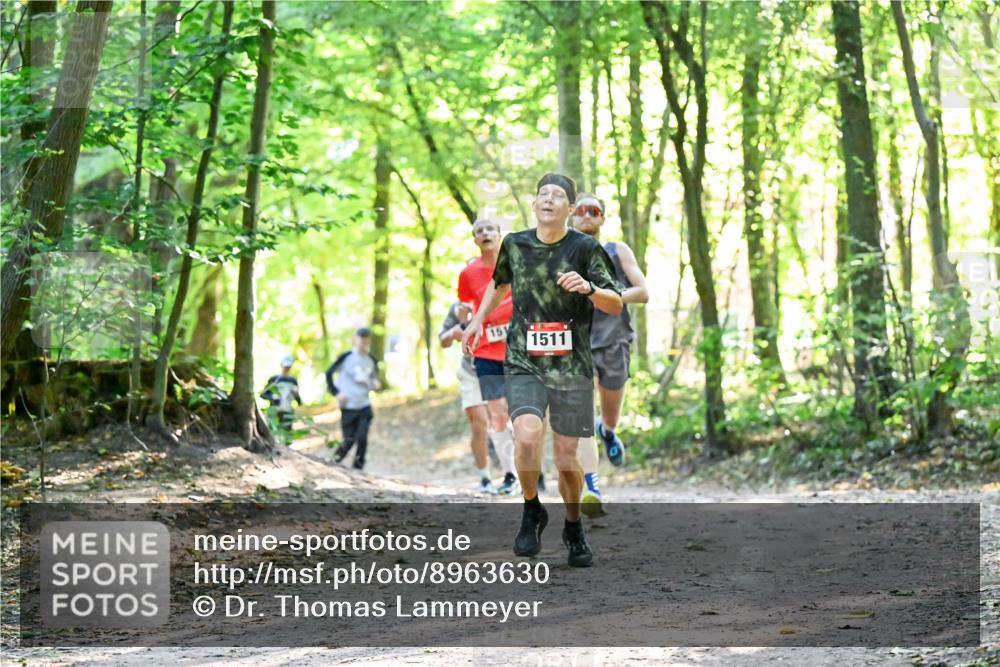 28.09.2025 - 33. Volkslauf durch das schöne Alstertal Dr. Thomas Lammeyer http://msf.ph/oto/8963630 28.09.2025 11:16:17 Laufen 15, 1511 meine-sportfotos.de