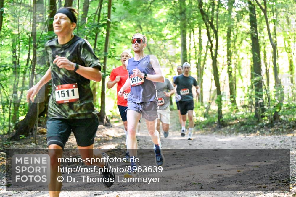 28.09.2025 - 33. Volkslauf durch das schöne Alstertal Dr. Thomas Lammeyer http://msf.ph/oto/8963639 28.09.2025 11:16:19 Laufen 1511, 1515, 46, 1614 meine-sportfotos.de