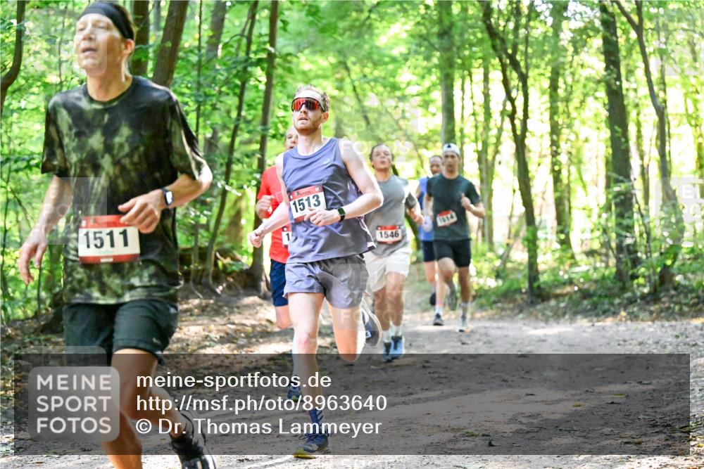 28.09.2025 - 33. Volkslauf durch das schöne Alstertal Dr. Thomas Lammeyer http://msf.ph/oto/8963640 28.09.2025 11:16:19 Laufen 1511, 1513, 1546, 1614 meine-sportfotos.de