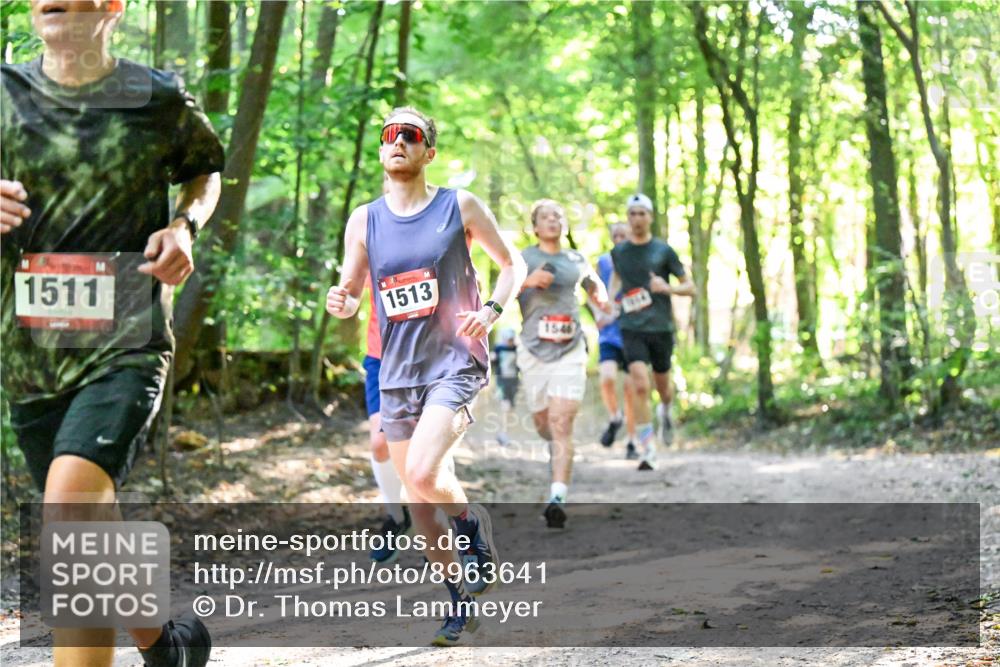 28.09.2025 - 33. Volkslauf durch das schöne Alstertal Dr. Thomas Lammeyer http://msf.ph/oto/8963641 28.09.2025 11:16:19 Laufen 1511, 1513, 1546 meine-sportfotos.de