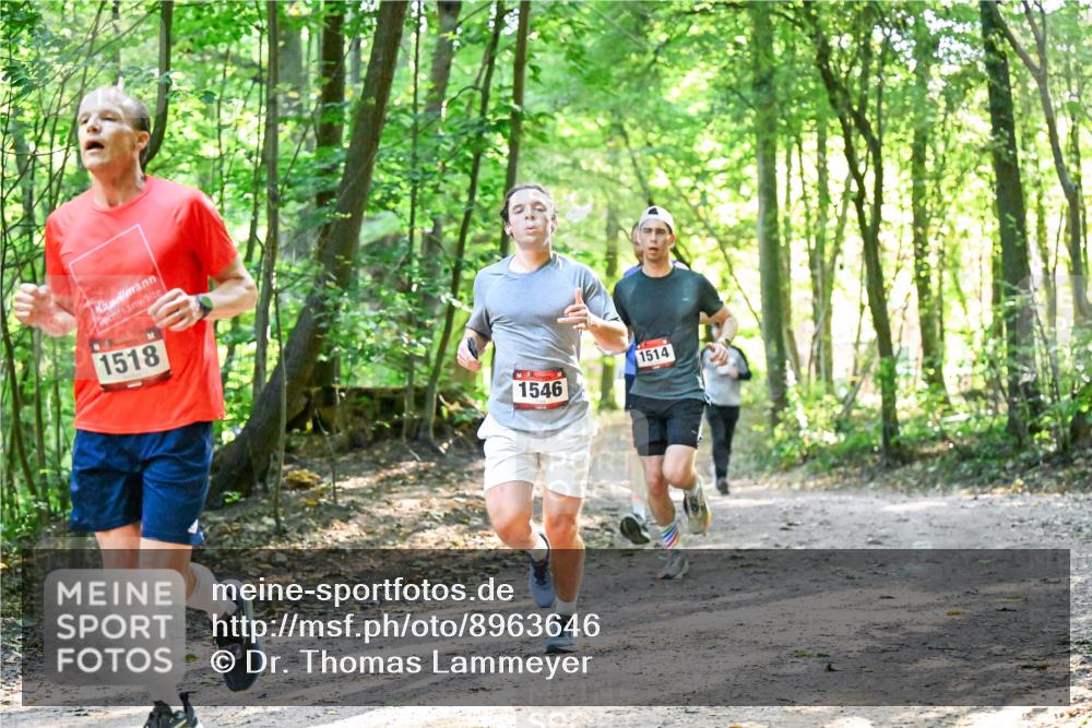 28.09.2025 - 33. Volkslauf durch das schöne Alstertal Dr. Thomas Lammeyer http://msf.ph/oto/8963646 28.09.2025 11:16:20 Laufen 1518, 1546, 1514 meine-sportfotos.de