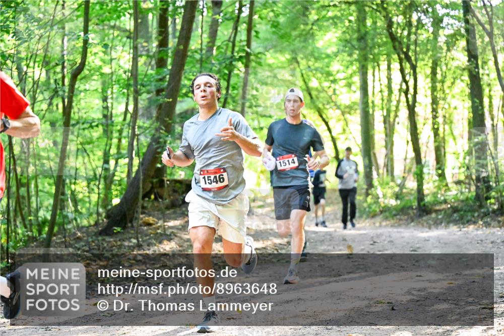 28.09.2025 - 33. Volkslauf durch das schöne Alstertal Dr. Thomas Lammeyer http://msf.ph/oto/8963648 28.09.2025 11:16:20 Laufen 1546, 1514 meine-sportfotos.de