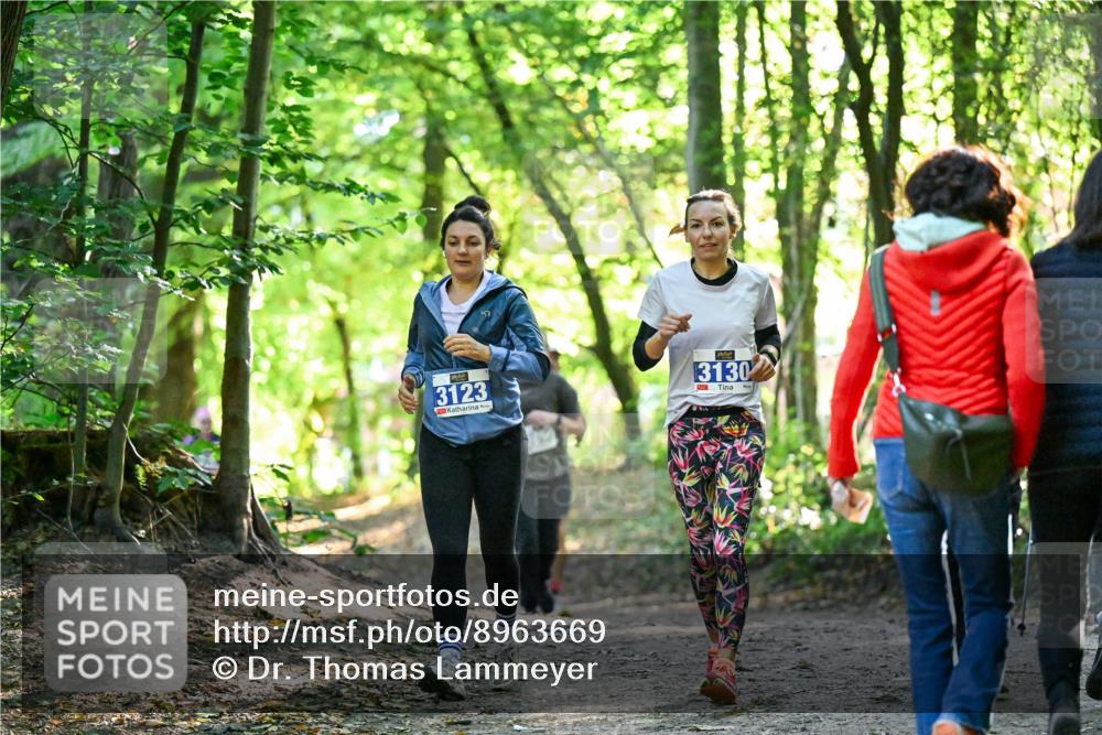 28.09.2025 - 33. Volkslauf durch das schöne Alstertal Dr. Thomas Lammeyer http://msf.ph/oto/8963669 28.09.2025 11:16:38 Laufen 3123, 3130 meine-sportfotos.de