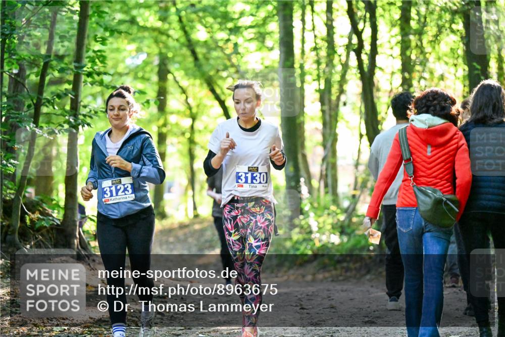 28.09.2025 - 33. Volkslauf durch das schöne Alstertal Dr. Thomas Lammeyer http://msf.ph/oto/8963675 28.09.2025 11:16:39 Laufen 3123, 3130, 1 meine-sportfotos.de
