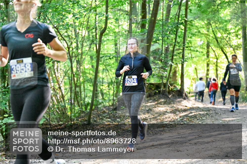 28.09.2025 - 33. Volkslauf durch das schöne Alstertal Dr. Thomas Lammeyer http://msf.ph/oto/8963728 28.09.2025 11:16:56 Laufen 3958, 3204, 3170 meine-sportfotos.de