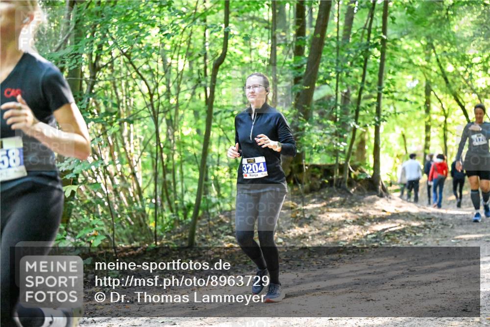 28.09.2025 - 33. Volkslauf durch das schöne Alstertal Dr. Thomas Lammeyer http://msf.ph/oto/8963729 28.09.2025 11:16:56 Laufen 58, 3204, 3170 meine-sportfotos.de