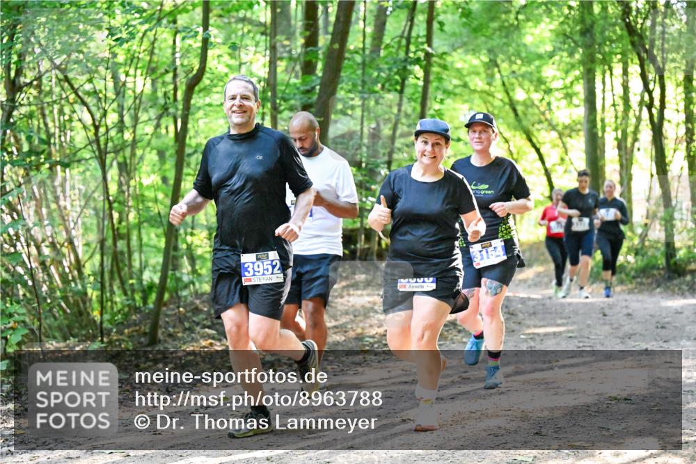 28.09.2025 - 33. Volkslauf durch das schöne Alstertal Dr. Thomas Lammeyer http://msf.ph/oto/8963788 28.09.2025 11:17:12 Laufen 3952, 5332, 3154 meine-sportfotos.de