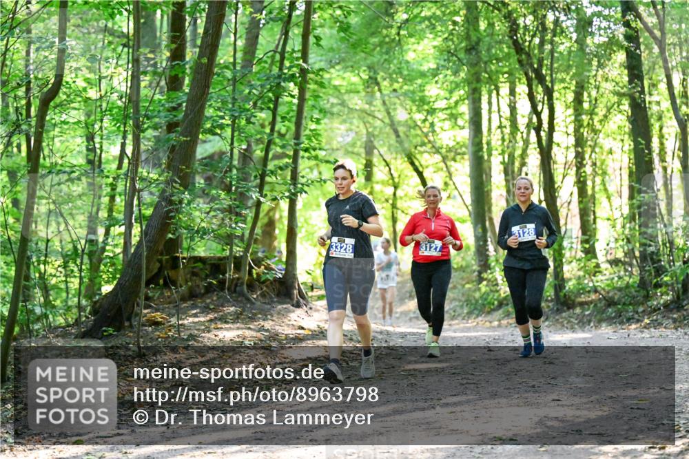 28.09.2025 - 33. Volkslauf durch das schöne Alstertal Dr. Thomas Lammeyer http://msf.ph/oto/8963798 28.09.2025 11:17:15 Laufen 3328, 3128, 3127 meine-sportfotos.de
