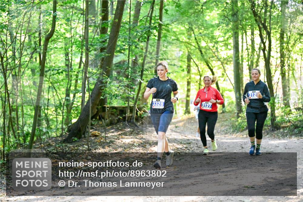28.09.2025 - 33. Volkslauf durch das schöne Alstertal Dr. Thomas Lammeyer http://msf.ph/oto/8963802 28.09.2025 11:17:15 Laufen 3328, 3127, 312 meine-sportfotos.de