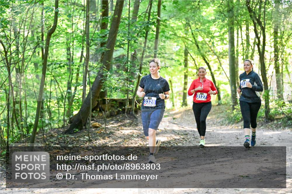 28.09.2025 - 33. Volkslauf durch das schöne Alstertal Dr. Thomas Lammeyer http://msf.ph/oto/8963803 28.09.2025 11:17:15 Laufen 3328, 3127, 312 meine-sportfotos.de