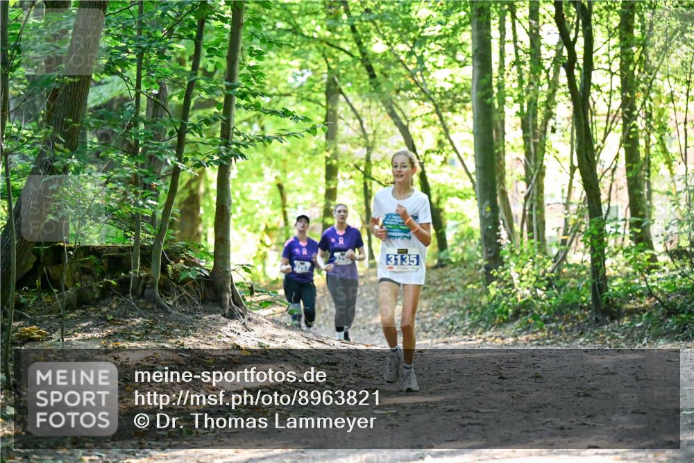 28.09.2025 - 33. Volkslauf durch das schöne Alstertal Dr. Thomas Lammeyer http://msf.ph/oto/8963821 28.09.2025 11:17:19 Laufen 740, 3135, 7 meine-sportfotos.de