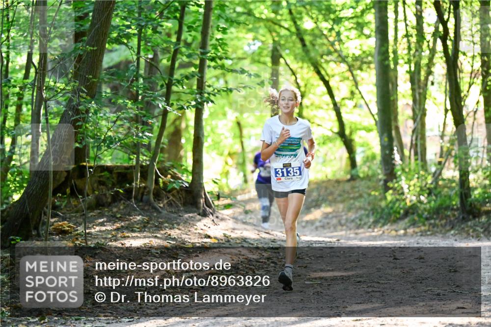 28.09.2025 - 33. Volkslauf durch das schöne Alstertal Dr. Thomas Lammeyer http://msf.ph/oto/8963826 28.09.2025 11:17:20 Laufen 3135 meine-sportfotos.de