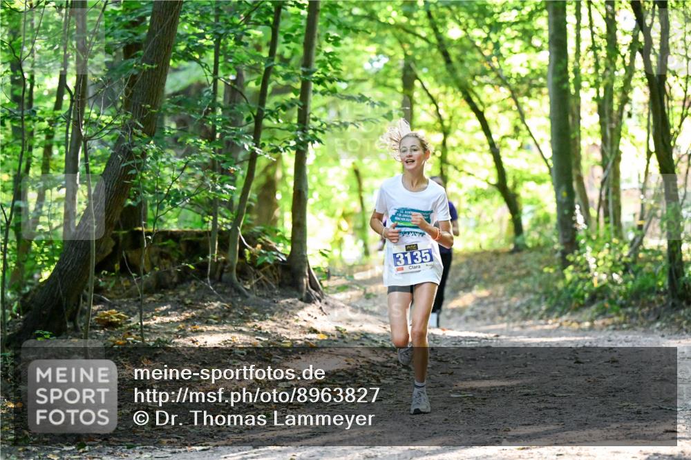28.09.2025 - 33. Volkslauf durch das schöne Alstertal Dr. Thomas Lammeyer http://msf.ph/oto/8963827 28.09.2025 11:17:20 Laufen 16, 3135 meine-sportfotos.de