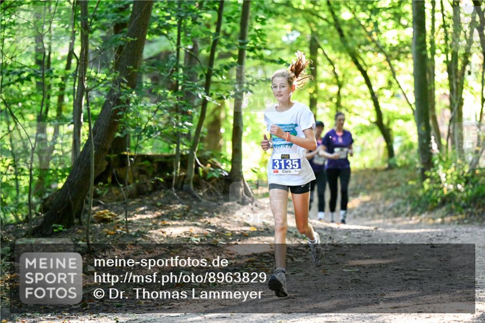 28.09.2025 - 33. Volkslauf durch das schöne Alstertal Dr. Thomas Lammeyer http://msf.ph/oto/8963829 28.09.2025 11:17:20 Laufen 3135, 1 meine-sportfotos.de