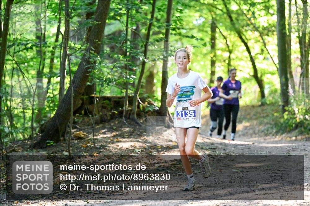 28.09.2025 - 33. Volkslauf durch das schöne Alstertal Dr. Thomas Lammeyer http://msf.ph/oto/8963830 28.09.2025 11:17:20 Laufen 20, 3135 meine-sportfotos.de
