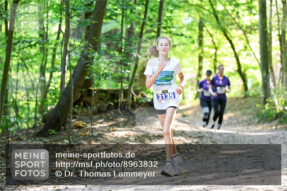 28.09.2025 - 33. Volkslauf durch das schöne Alstertal Dr. Thomas Lammeyer http://msf.ph/oto/8963832 28.09.2025 11:17:20 Laufen 6, 2025, 3135 meine-sportfotos.de
