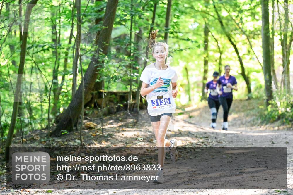 28.09.2025 - 33. Volkslauf durch das schöne Alstertal Dr. Thomas Lammeyer http://msf.ph/oto/8963833 28.09.2025 11:17:20 Laufen 3135 meine-sportfotos.de