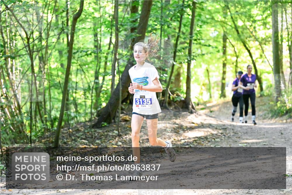 28.09.2025 - 33. Volkslauf durch das schöne Alstertal Dr. Thomas Lammeyer http://msf.ph/oto/8963837 28.09.2025 11:17:21 Laufen 3135 meine-sportfotos.de