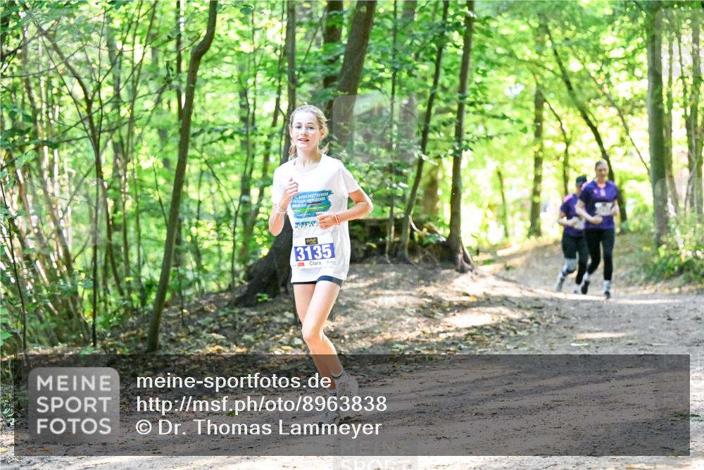 28.09.2025 - 33. Volkslauf durch das schöne Alstertal Dr. Thomas Lammeyer http://msf.ph/oto/8963838 28.09.2025 11:17:21 Laufen 2025, 3135 meine-sportfotos.de