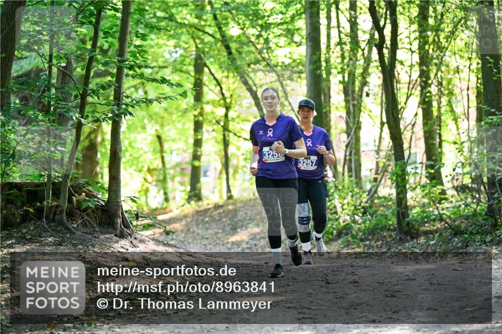 28.09.2025 - 33. Volkslauf durch das schöne Alstertal Dr. Thomas Lammeyer http://msf.ph/oto/8963841 28.09.2025 11:17:23 Laufen 2, 3250, 2, 3257 meine-sportfotos.de