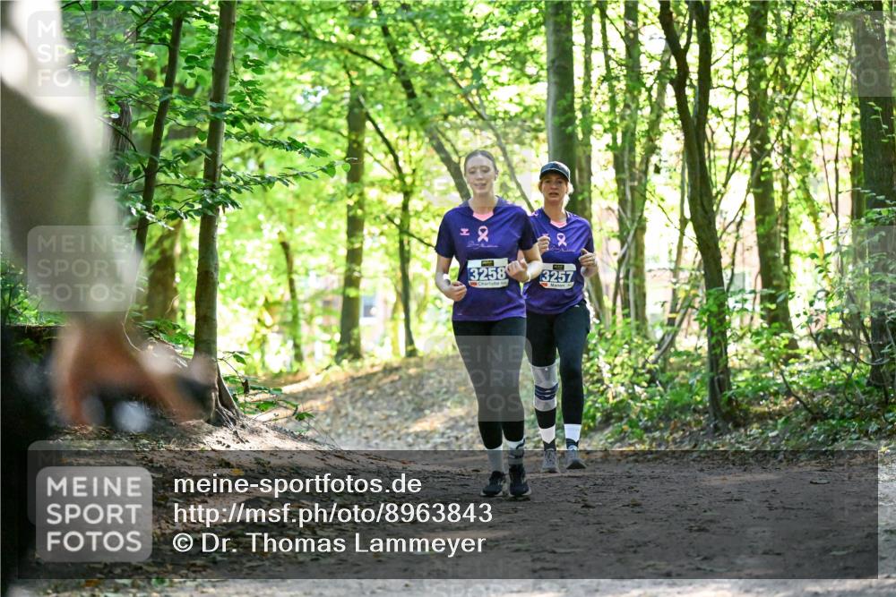 28.09.2025 - 33. Volkslauf durch das schöne Alstertal Dr. Thomas Lammeyer http://msf.ph/oto/8963843 28.09.2025 11:17:23 Laufen 2, 3258, 3257 meine-sportfotos.de
