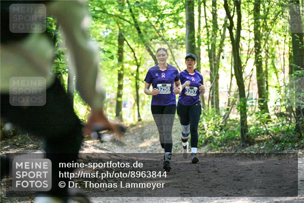 28.09.2025 - 33. Volkslauf durch das schöne Alstertal Dr. Thomas Lammeyer http://msf.ph/oto/8963844 28.09.2025 11:17:23 Laufen 22, 3258, 3257, 1 meine-sportfotos.de