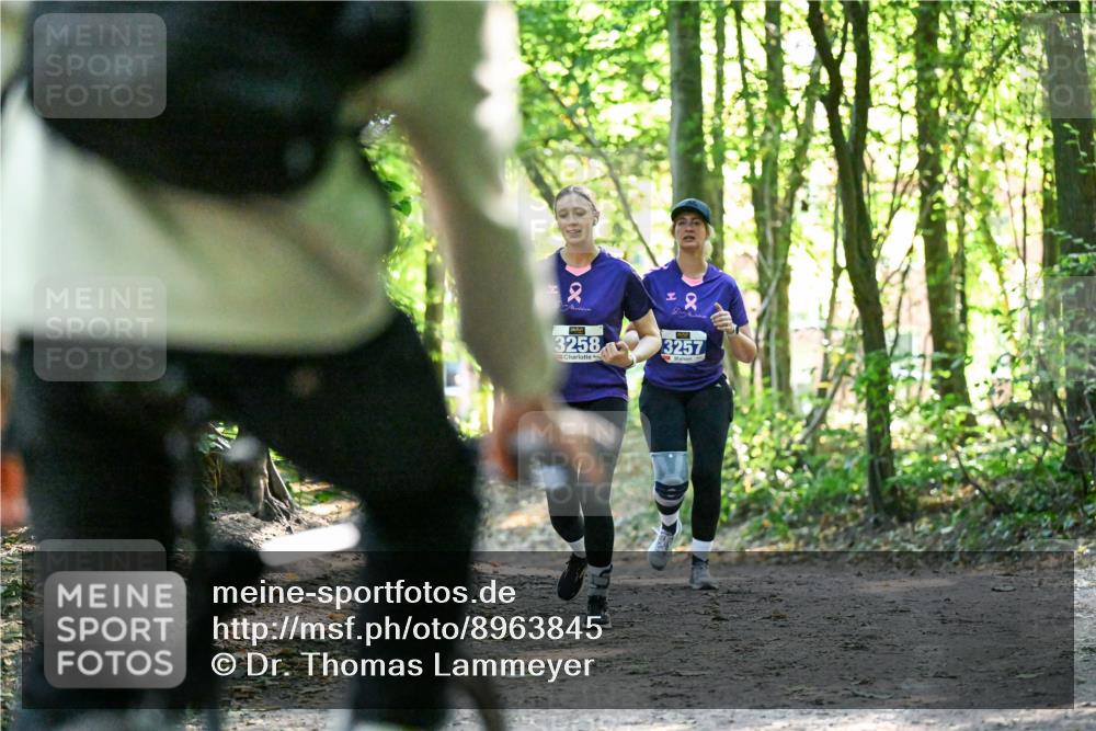 28.09.2025 - 33. Volkslauf durch das schöne Alstertal Dr. Thomas Lammeyer http://msf.ph/oto/8963845 28.09.2025 11:17:23 Laufen 2, 3258, 2, 3257, 1 meine-sportfotos.de