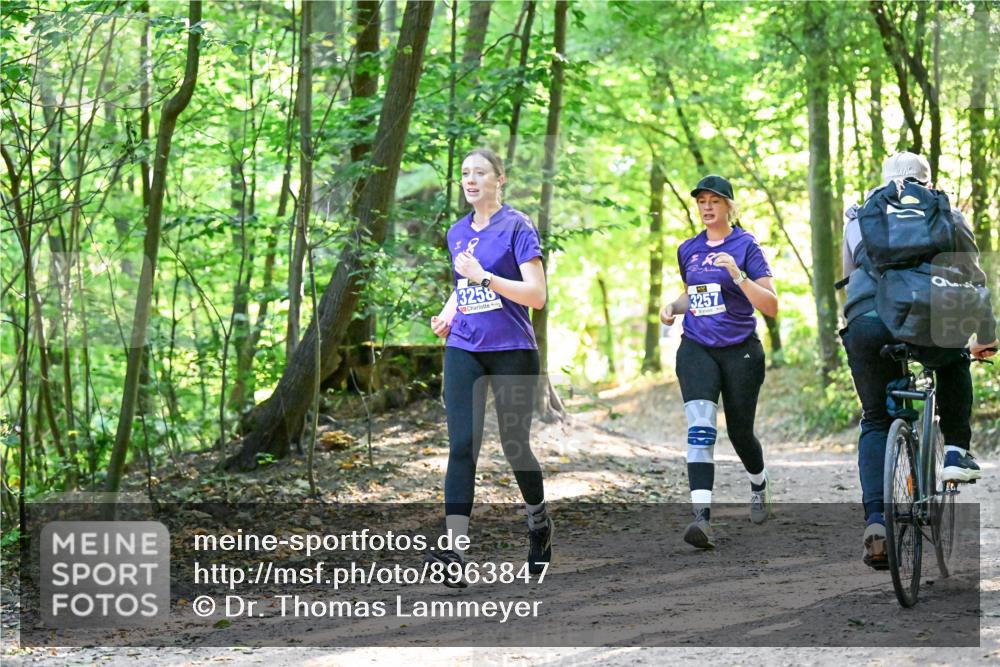 28.09.2025 - 33. Volkslauf durch das schöne Alstertal Dr. Thomas Lammeyer http://msf.ph/oto/8963847 28.09.2025 11:17:25 Laufen 3258, 3257 meine-sportfotos.de