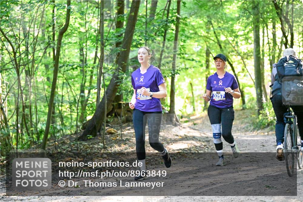 28.09.2025 - 33. Volkslauf durch das schöne Alstertal Dr. Thomas Lammeyer http://msf.ph/oto/8963849 28.09.2025 11:17:25 Laufen 2, 3257 meine-sportfotos.de