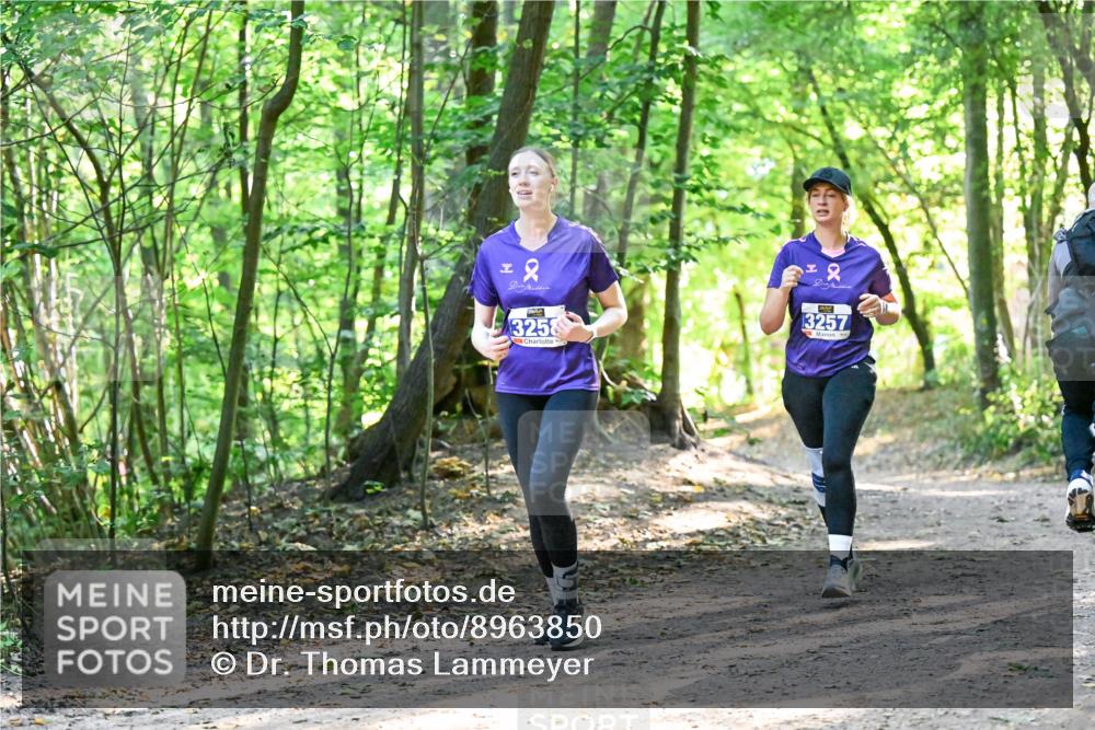 28.09.2025 - 33. Volkslauf durch das schöne Alstertal Dr. Thomas Lammeyer http://msf.ph/oto/8963850 28.09.2025 11:17:25 Laufen 2, 3258, 2, 13257 meine-sportfotos.de