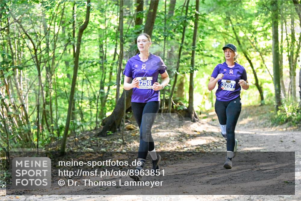28.09.2025 - 33. Volkslauf durch das schöne Alstertal Dr. Thomas Lammeyer http://msf.ph/oto/8963851 28.09.2025 11:17:25 Laufen 2, 3258, 3257 meine-sportfotos.de