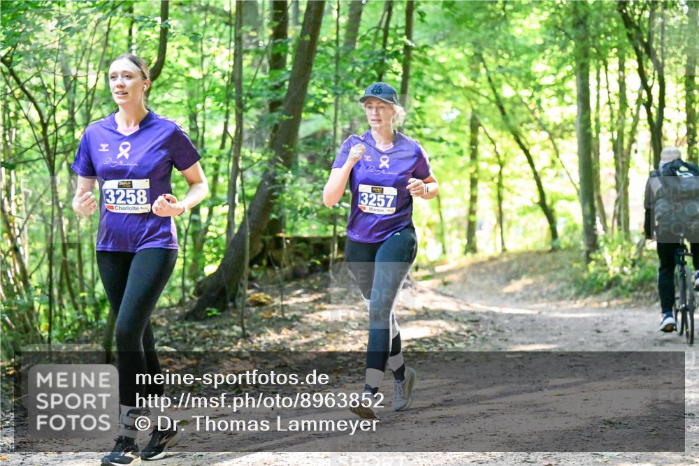 28.09.2025 - 33. Volkslauf durch das schöne Alstertal Dr. Thomas Lammeyer http://msf.ph/oto/8963852 28.09.2025 11:17:26 Laufen 3258, 2, 13257 meine-sportfotos.de