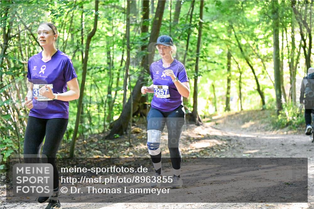 28.09.2025 - 33. Volkslauf durch das schöne Alstertal Dr. Thomas Lammeyer http://msf.ph/oto/8963855 28.09.2025 11:17:26 Laufen 2, 31, 3257 meine-sportfotos.de
