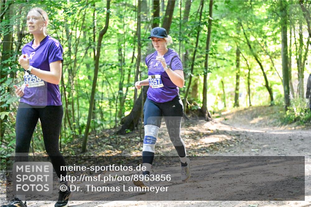 28.09.2025 - 33. Volkslauf durch das schöne Alstertal Dr. Thomas Lammeyer http://msf.ph/oto/8963856 28.09.2025 11:17:27 Laufen 3258, 3257 meine-sportfotos.de