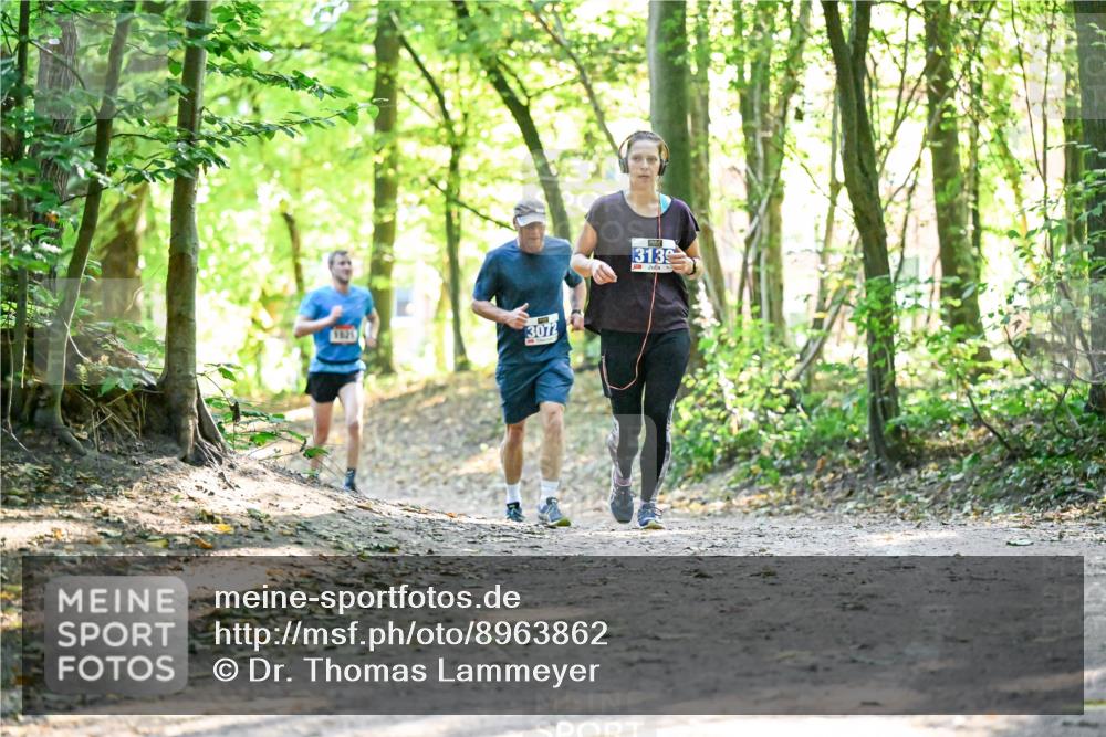 28.09.2025 - 33. Volkslauf durch das schöne Alstertal Dr. Thomas Lammeyer http://msf.ph/oto/8963862 28.09.2025 11:17:37 Laufen 2, 3072, 3139 meine-sportfotos.de