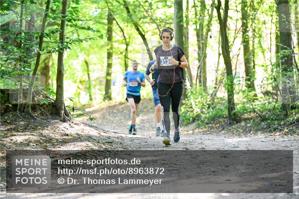 28.09.2025 - 33. Volkslauf durch das schöne Alstertal Dr. Thomas Lammeyer http://msf.ph/oto/8963872 28.09.2025 11:17:38 Laufen 1621, 313 meine-sportfotos.de