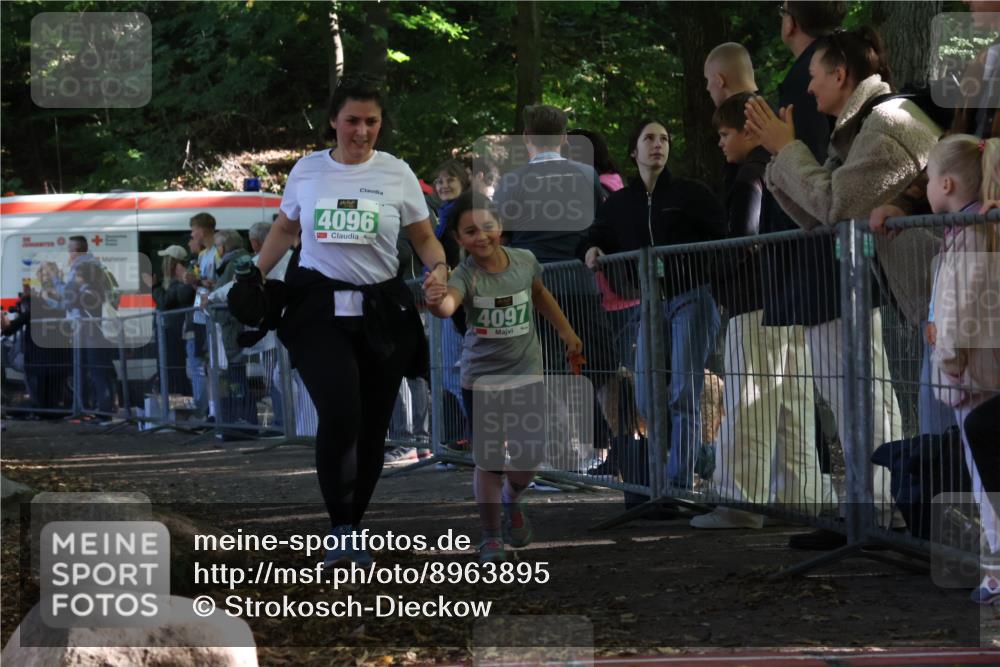 28.09.2025 - 33. Volkslauf durch das schöne Alstertal Strokosch-Dieckow http://msf.ph/oto/8963895 28.09.2025 11:09:11 Ziel 4037, 4096, 4097 meine-sportfotos.de